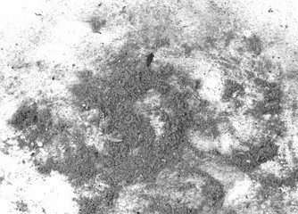 Black trash, dust, dirt isolated on a white background closeup. texture of garbage from a vacuum cleaner