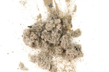 Trash, dust, dirt isolated on a white background closeup. texture of garbage from a vacuum cleaner
