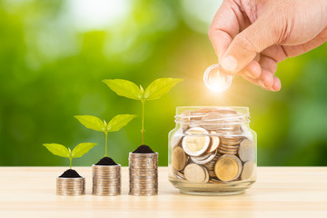 Coin glass jar container and stack with growing leaves on wooden desk, with hand putting money, on...