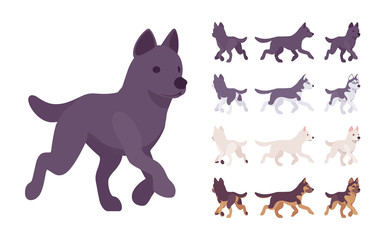Black, White dog, Husky, Shepherd running set. Pet, family companion, home guarding, farm or police security breed. Vector flat style cartoon illustration isolated, white background, different views