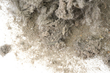 Trash, dust, dirt isolated on a white background closeup. texture of garbage from a vacuum cleaner