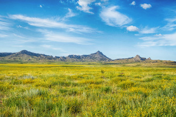 Fototapeta premium Kazakhstan