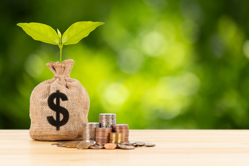 Money sack and leaves growing and coin stack on green tree background, saving concept