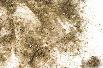 Trash, dust, dirt isolated on a white background closeup. texture of garbage from a vacuum cleaner