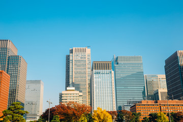 Marunouchi district modern buildings at autumn in Tokyo, Japan