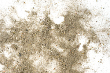 Trash, dust, dirt isolated on a white background closeup. texture of garbage from a vacuum cleaner