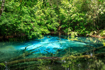 Fototapeta premium Blue Pool, turquoise crystal clear spring in middle of forest, Krabi, Thailand