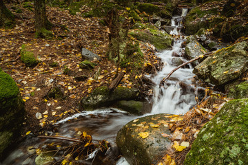 Mały leśny strumyk z wodospadem wczesną jesienią - obrazy, fototapety, plakaty