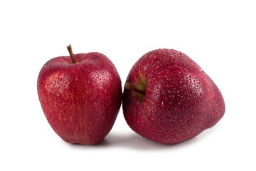 Two red ripe apples, perfect isolate on a white background, harvesting design.