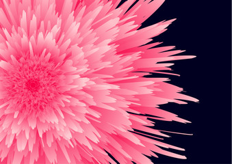 Obraz premium Bright beautiful bud of a peony, aster on a black background. Elegant flower close-up. Botanical vector for banner, card, invitation, textile, fabric.