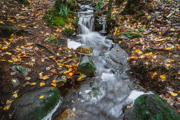Mały leśny strumyk z wodospadem wczesną jesienią