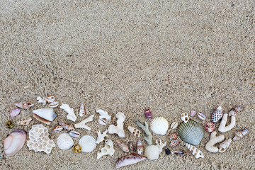 Seashells and corals border on sand background.