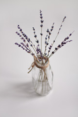 transparent vase in Scandinavian style with dried flowers purple on a light background vertical photo