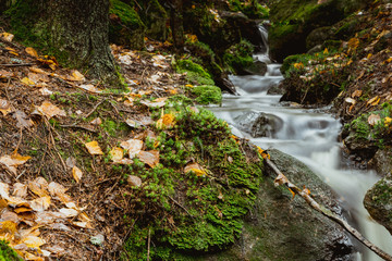 Mały leśny strumyk z wodospadem wczesną jesienią