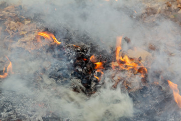 There are fallen autumn leaves burning in the fire. Flames and blue smoke from burning leaves. Horizontal background, selective focus.