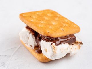 S'more on a gray surface with flowing chocolate.