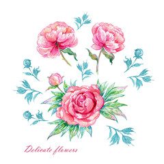 Watercolor hand painted illustration of beautiful peonies with foliage