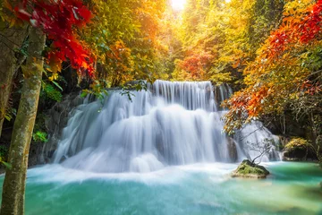 Garden poster Forest river Colorful majestic waterfall in national park forest during autumn - Image