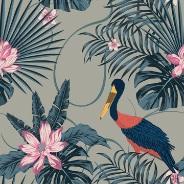 Jungle tropic abstract color stork bird seamless