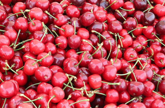 red background of many ripe cherries