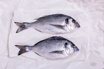 Frisch gefangener Fisch für ein nahrhaftes und gesundes Abendessen