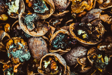 Cracked nuts infected with mold