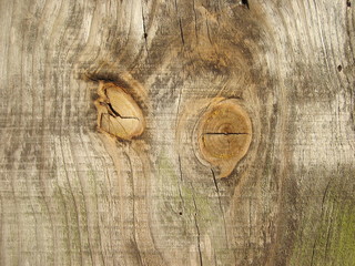 Textura de madeira natural com nós visíveis.