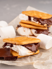 S'more on a gray surface with flowing chocolate.