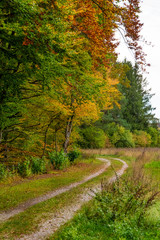 Fototapeta na wymiar Feld- und Wanderweg im Herbst