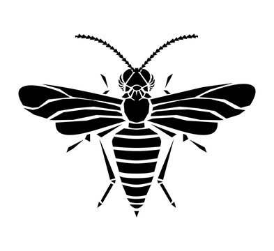 Wasp illustration