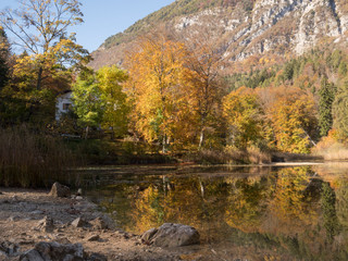 in the wook by cCei lake in Trentino