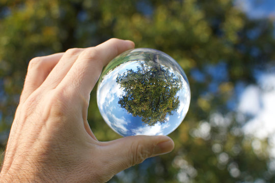 Männerhand hält Kristall Glaskugel in der sich ein Birnbaum spiegelt mit blauem Himmel im Hintergrund
