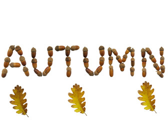  the word autumn from acorns