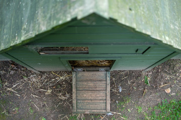 Top down view of the front of a timber chicken coop showing the opened main entrance and vent slot. Situated in a private garden. © Nick Beer