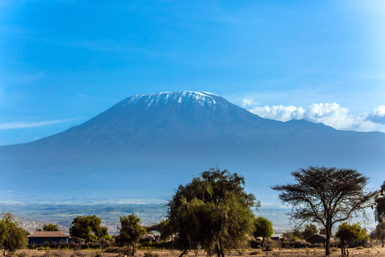  The famous snow peak of Kilimanjaro