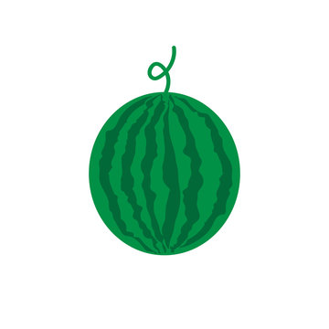 watermelon vector .  isolated watermelon. flat watermelon. watermelon graphic image