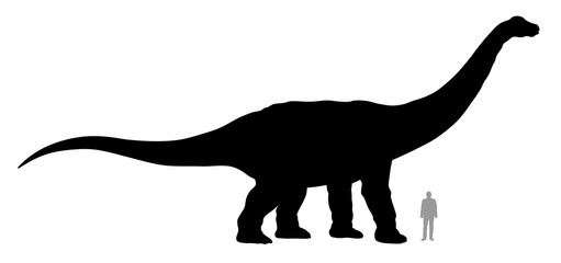 Apatosaurus