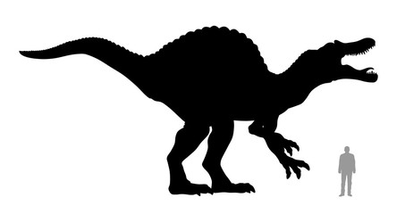 Obraz premium Spinosaurus