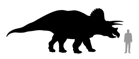 Triceratops