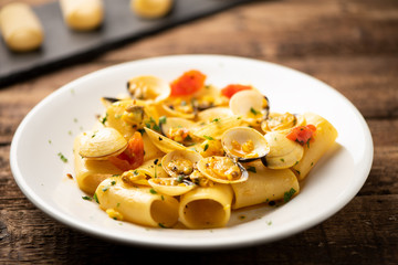 Paccheri pasta with clams on white plate .