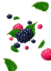 Raspberries and blackberries falling from the air on white background and leaf. Food levitation concept, high-resolution image