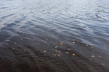 water on the lake