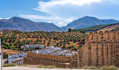 Olivenfelder in Mijas auf dem Hang