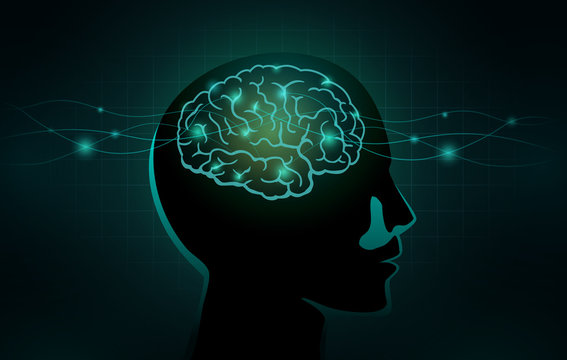 Small Cells And Wave Line Move Into The Human Brain. Concept Illustration About Work Of Nervous System And Brain Networks.