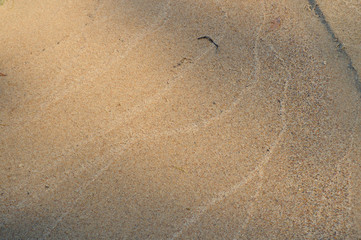 texture sand