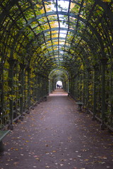 Fototapeta na wymiar tunnel in the park