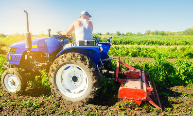 Tractor cultivates the soil after harvesting. A farmer plows a field. Pepper plantations. Seasonal farm work. Agriculture crops. Farming, farmland. Selective focus