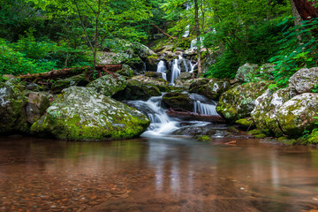 waterfall in the forest