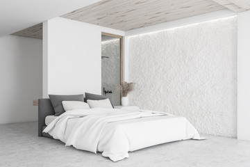 White master bedroom corner with shower