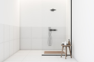 White bathroom interior with shower stall